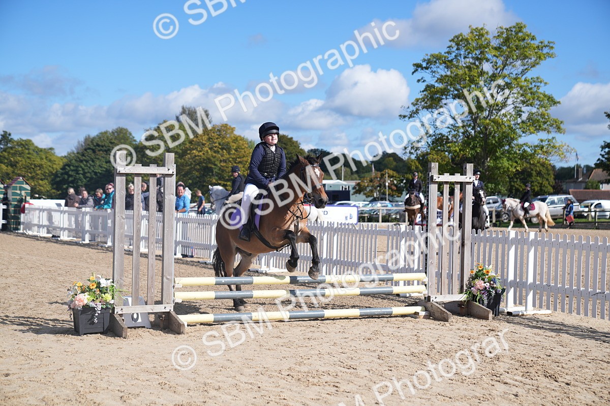 SBM_02454 - J54 Clear Round 45cm