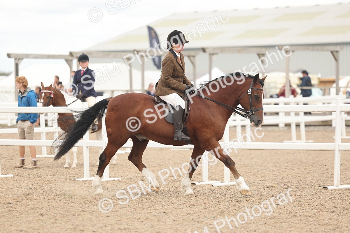 SBM_18158 - Class 315 - Best Horse-Rider Combination