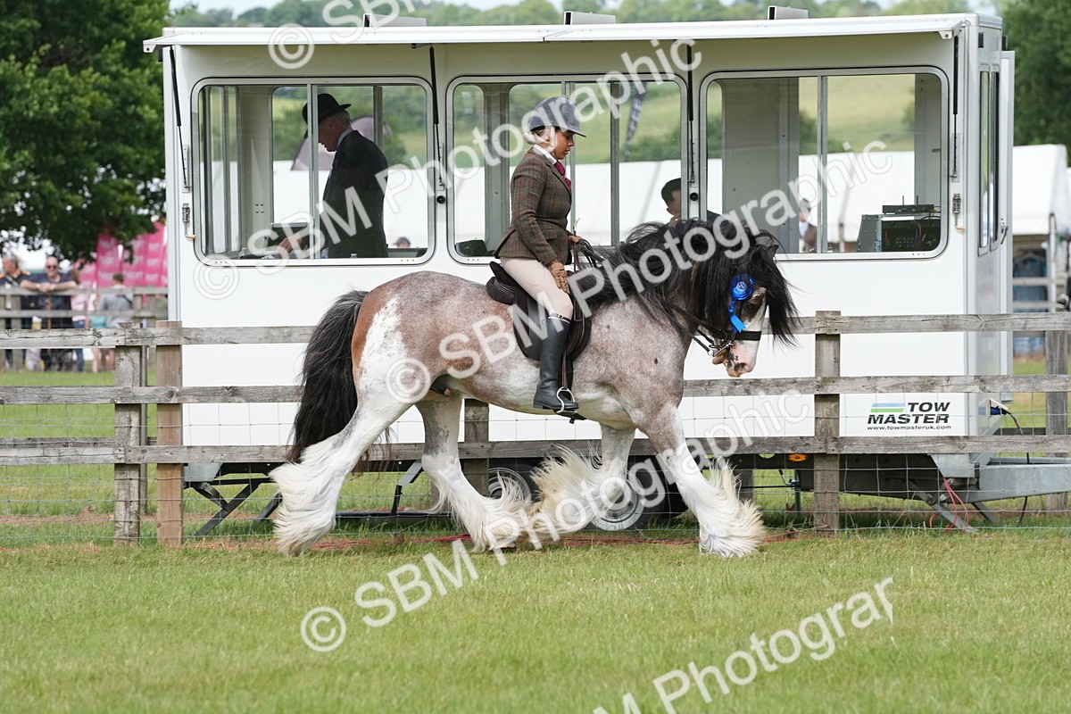 SBM_17635 - Class 107-108 - LIHS BSPS Performance Coloured Horse Pony