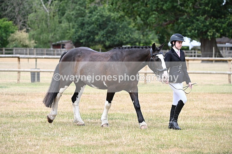 WJ6_4554 - Class 10 Coloured In-hand