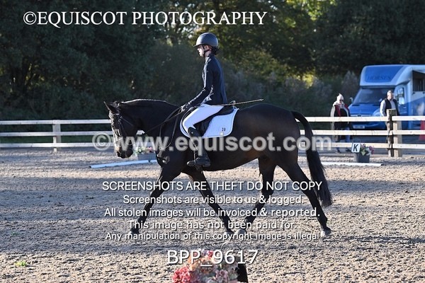 BPP_9617 - SHORT ARENA