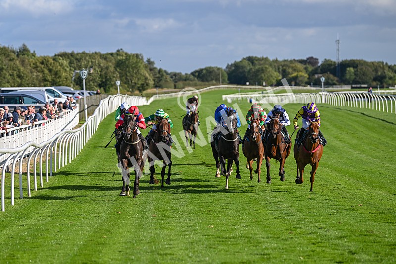 100924-Race 5-Crocodile Power-0417 - Race 5