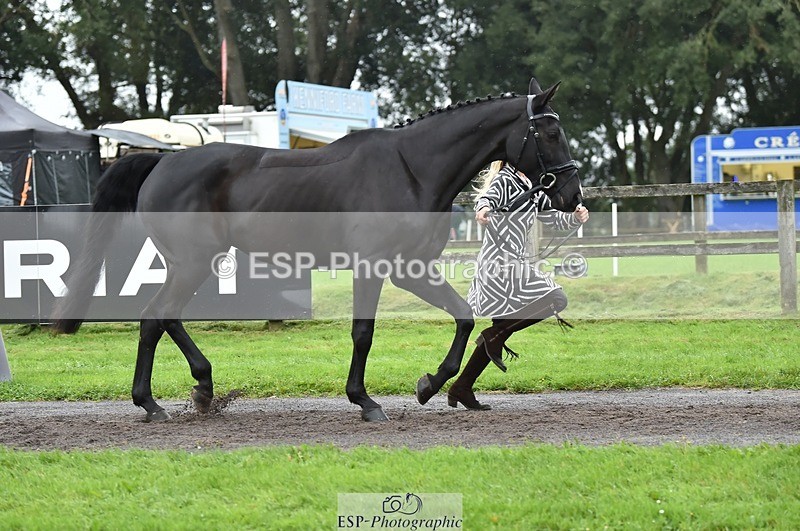 231018-124320-00476 - 056-WILLOW.BDA-Lisa.Maynard-TrotUp