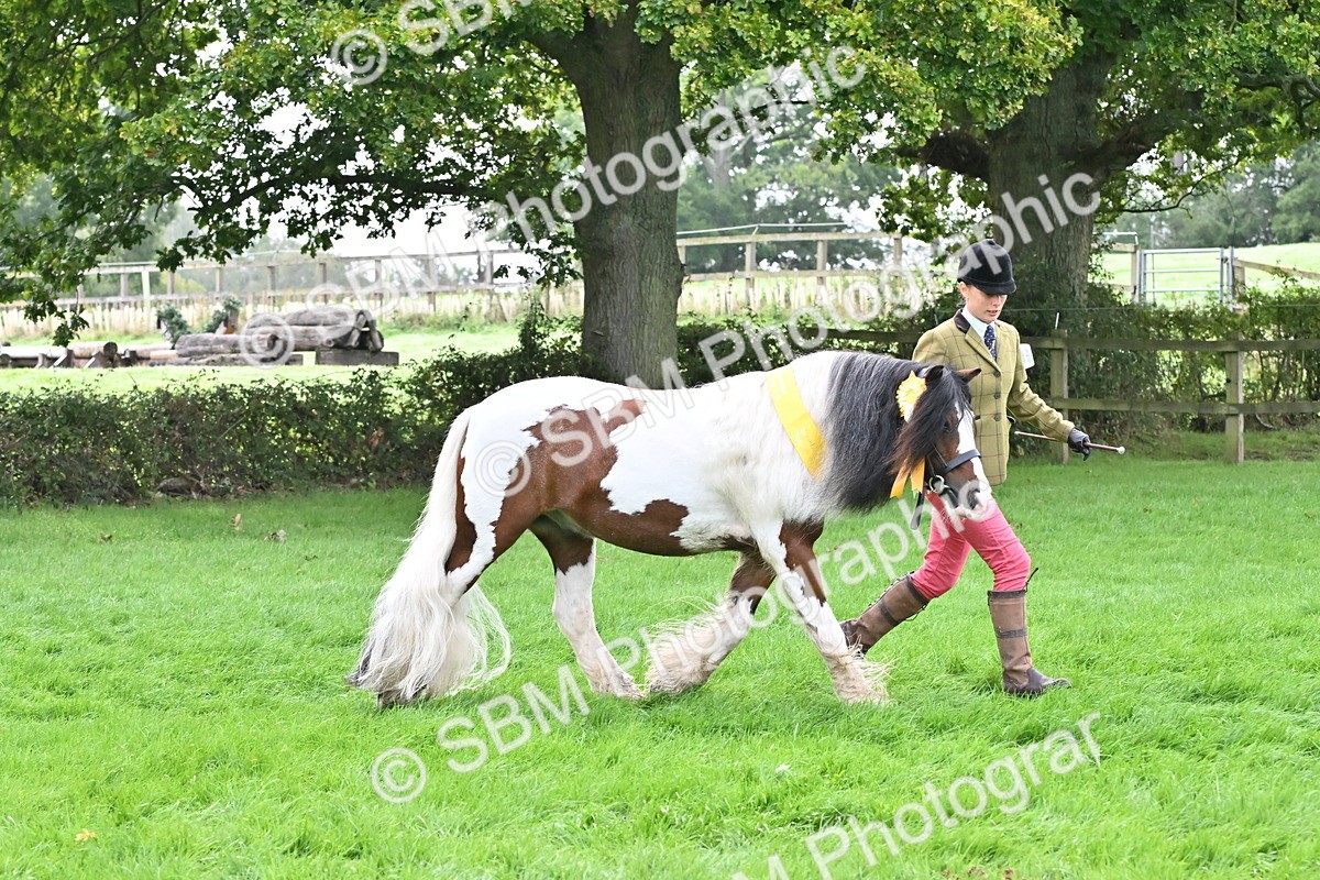 SBM_57010 - S45 - Coloured Pony In Hand