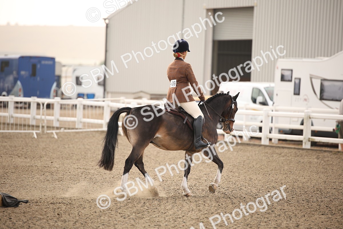 SBM_09797 - Class 401 Riding Club Pony