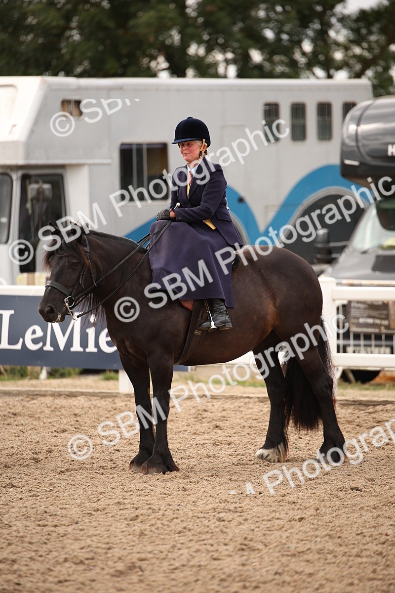 SBM_05410 - Class 22 SSA Equitation