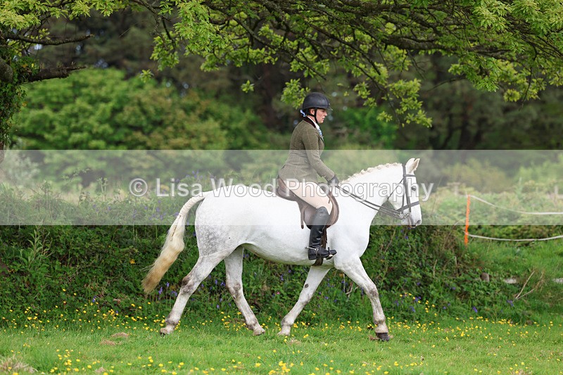 3E7A1116 - Class 7: Ridden Hunter Type