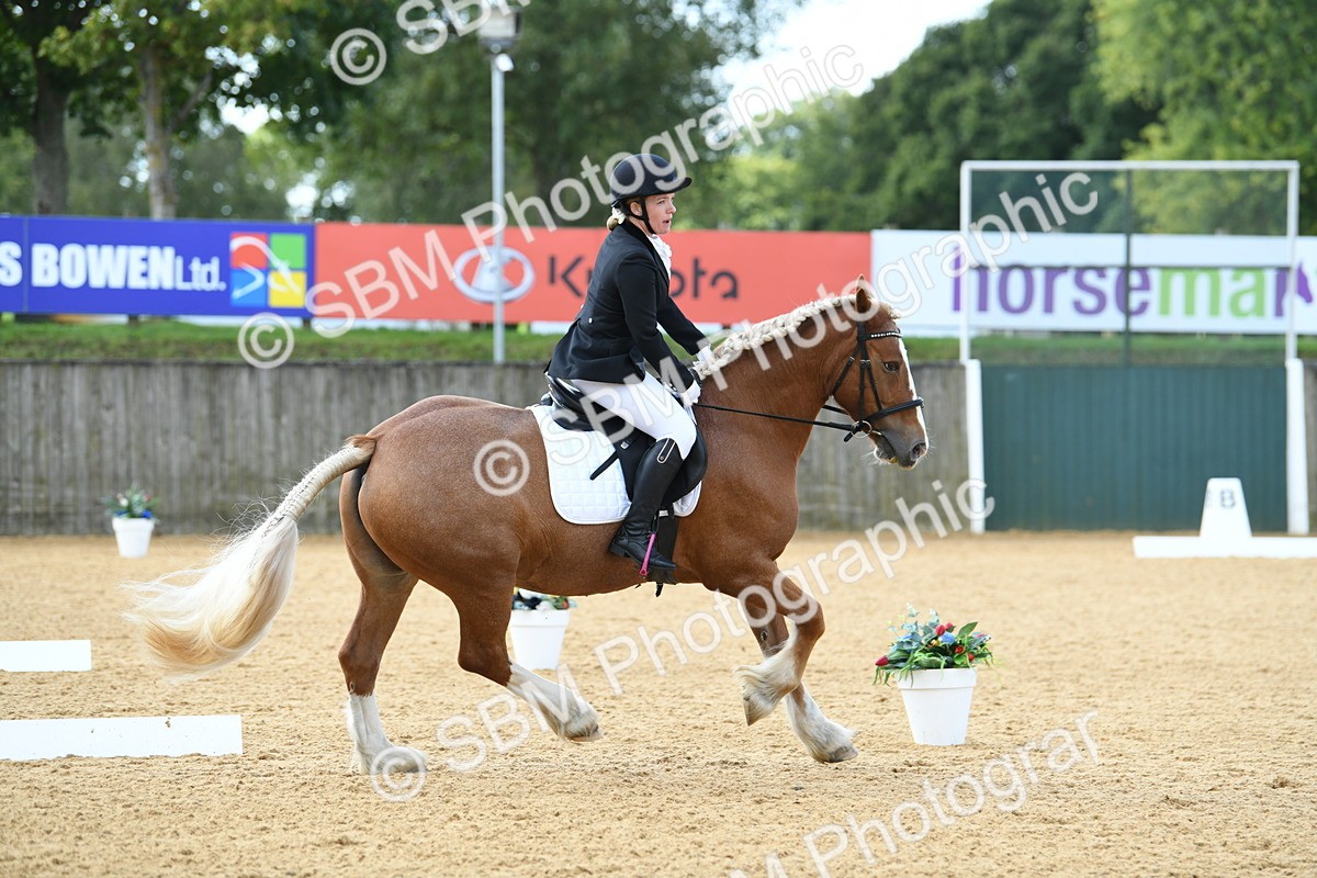 SBM_03116 - D7 Small Tour Championship Prelim 1