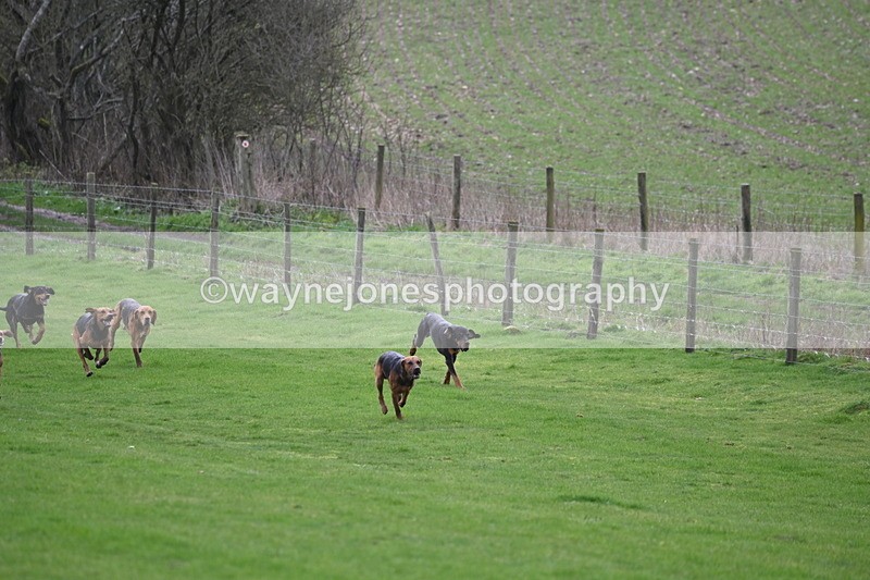 WJ6_8960 - Line Three