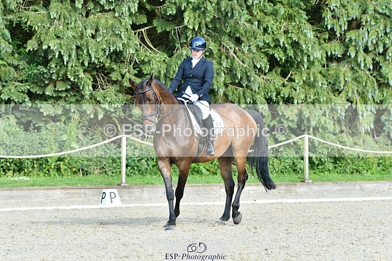 230623-175329-01636 - Cls 8 Medium 73Q