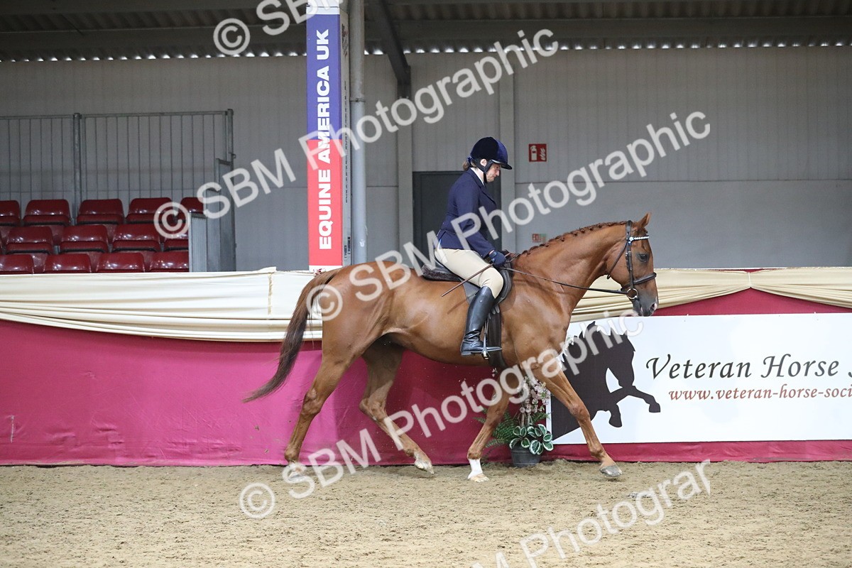 SBM_12296 - Class 108 Ridden Retired Racehorse- Pre Judging