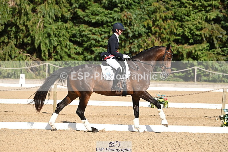 250808A-170048-02191 - Novice GOLD Presentations