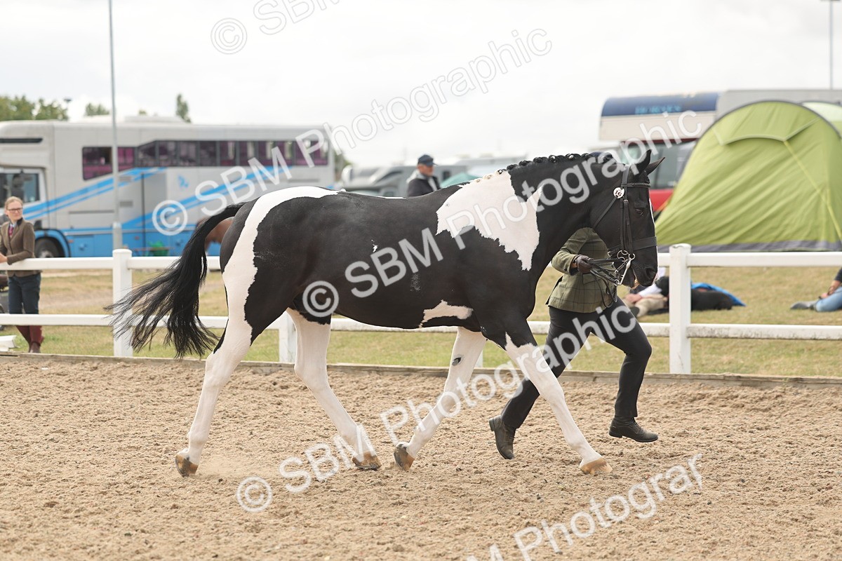 SBM_02084 - Class 15 - IH Coloured