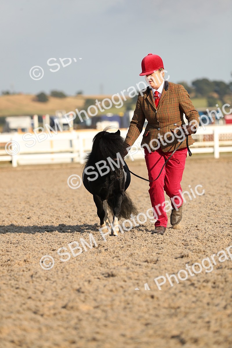 SBM_09000 - Class 29 IH Veteran Pony