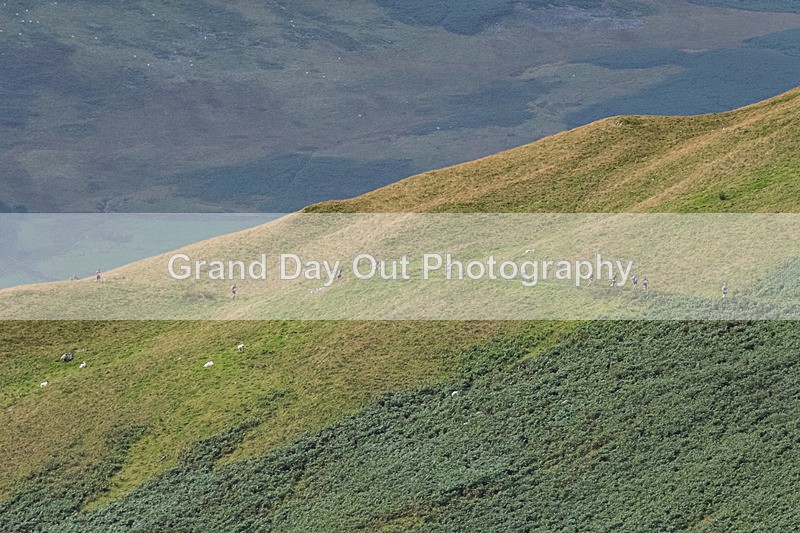 Sedbergh-3 - Sedbergh Hills Fell Race Sunday 18th August 2024