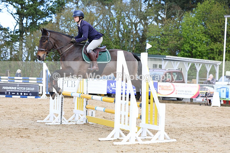 3E7A0779 - Class 4: Senior British Novice/90cm open