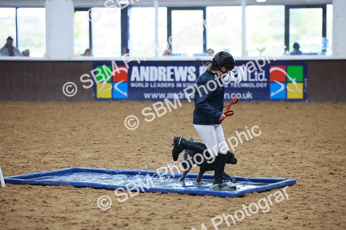 SBM_001645 - Class 3 - Horse & Hound (60cm)