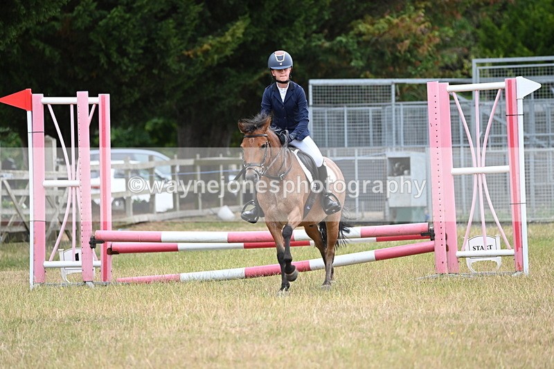 WJ6_9984 - Class 13 Novice Jumping 60cm