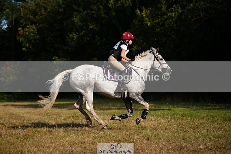 250803A-181316-18908 - R-824-Poppy.Wilkinson-DAISY.DER.BLUME