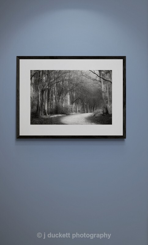  - Woodland Path