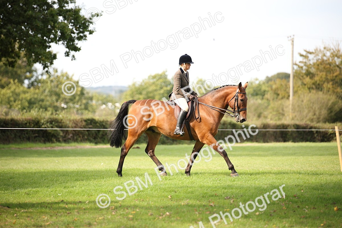 SBM_70365 - S66 - Hunter Ridden