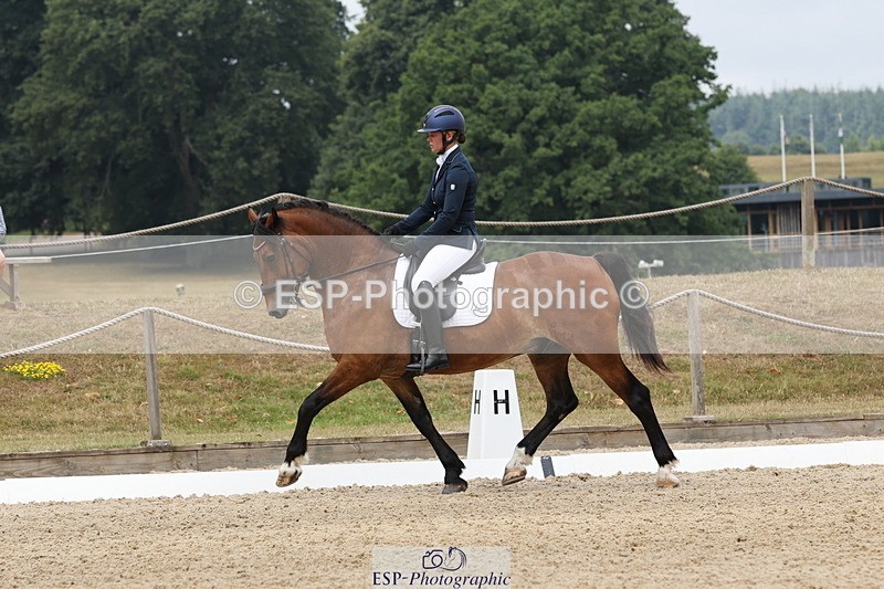 250718A-114621-00953 - 117-Alexandra.Northwood-Scurlagecastle.Gino