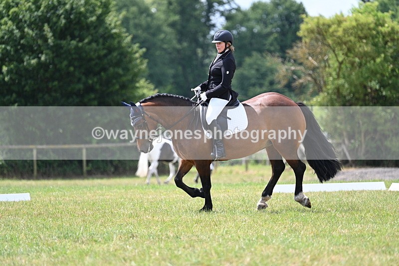 WJ7_5424 - Time 11:52 to 12:10