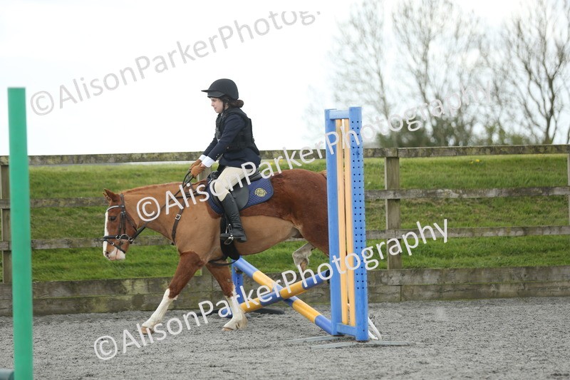 20260412-0606 - Show Jumping