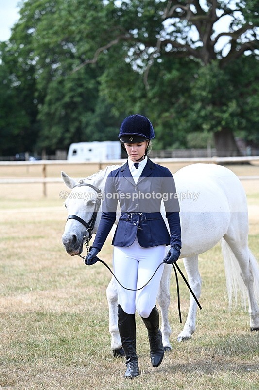 WJ7_1589 - Class 4 Prettiest Mare up to 14.2hh in hand