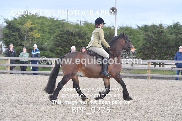 BPP_9275 - RING 2 - M&M