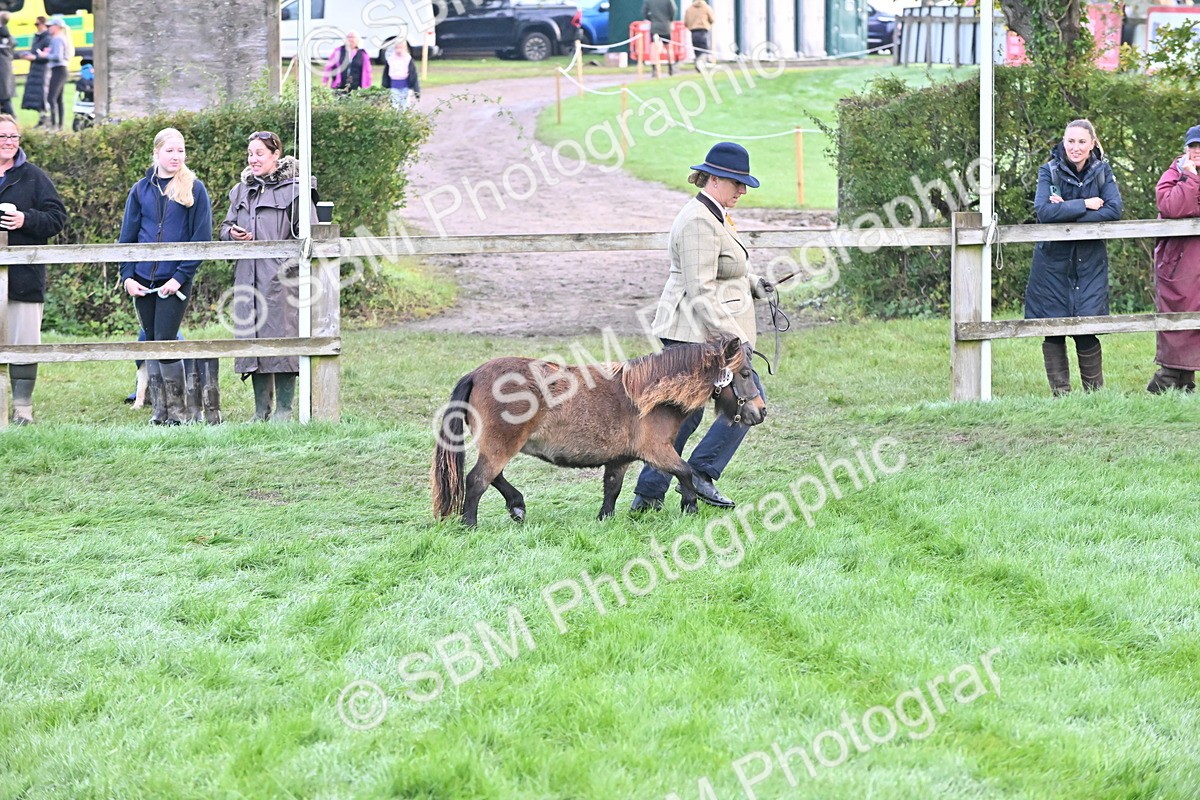 SBM_54602 - S44 - Youngstock In Hand