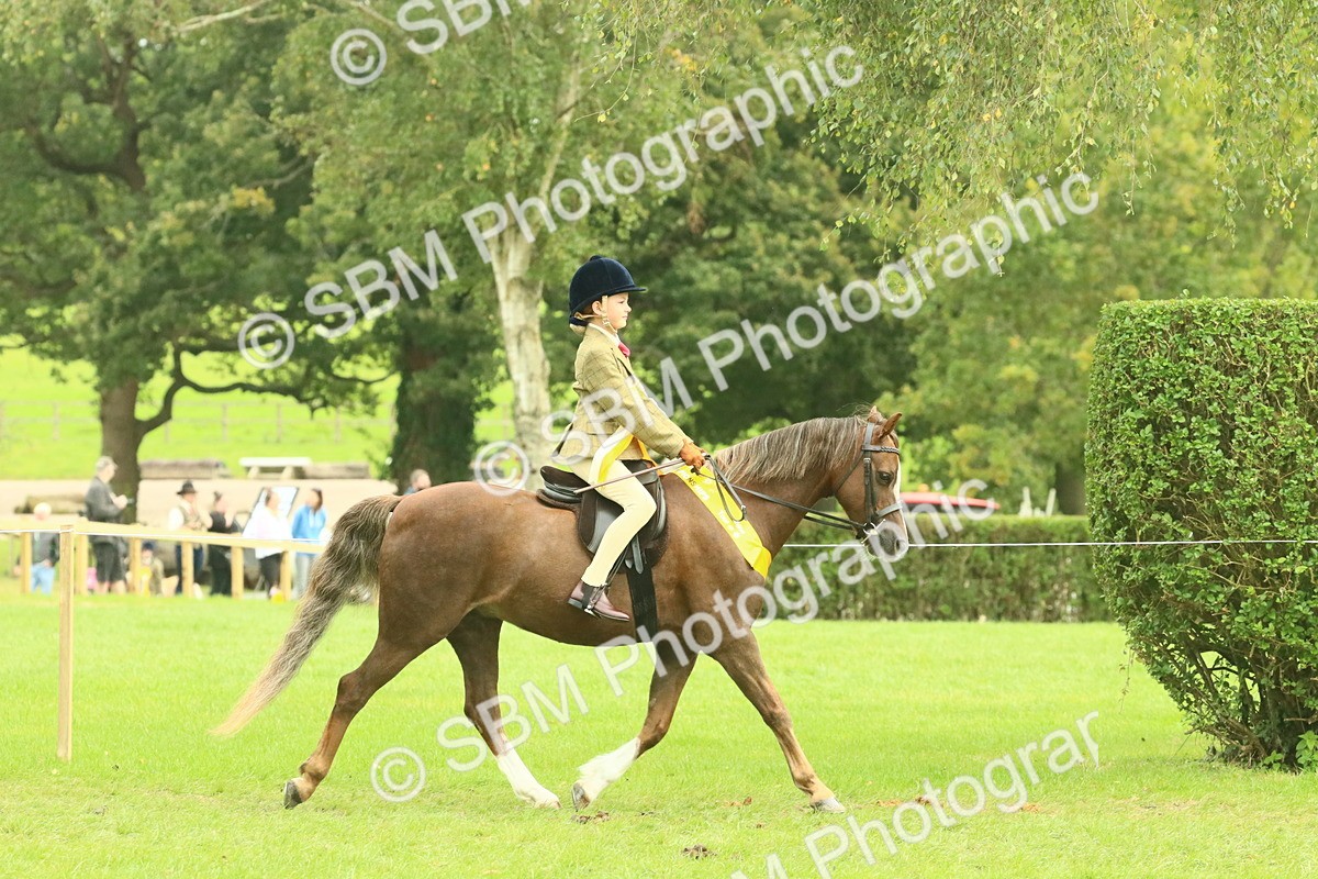 SBM_74978 - Ridden Pony Supreme Championship