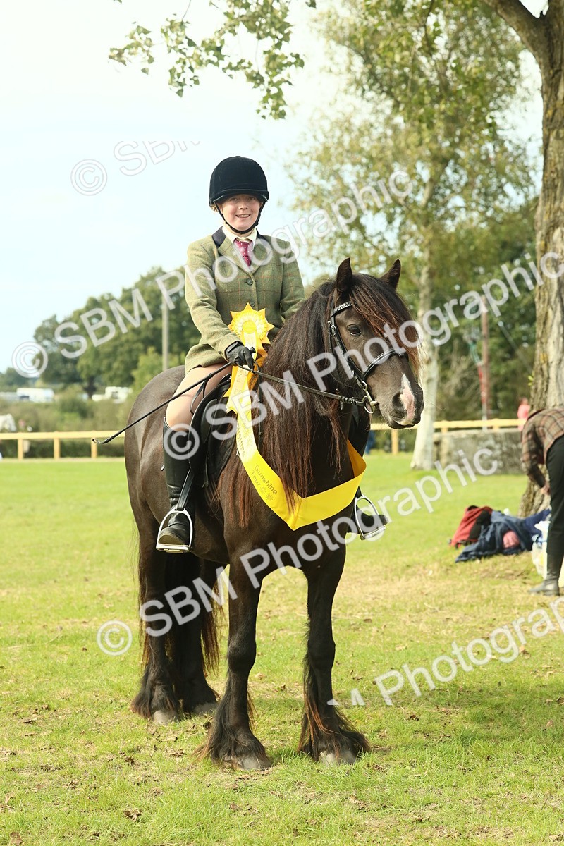 SBM_69405 - S58 - Mini Show Cob Ridden