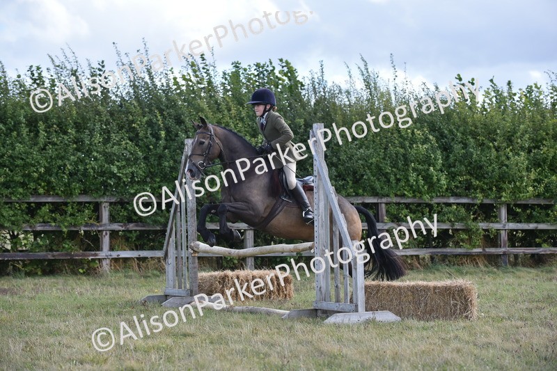 20250831-4094 - Class 13 - Working Hunter Horse or Pony