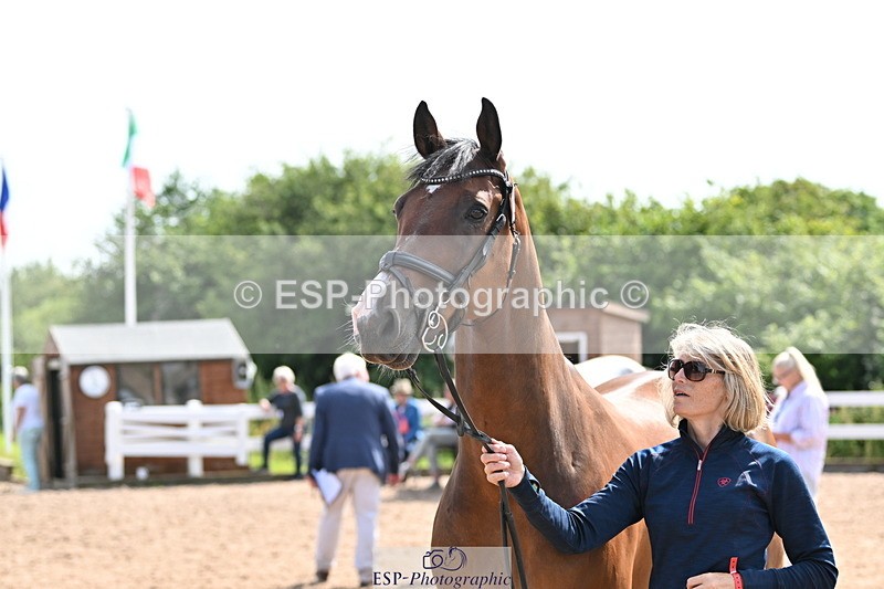 240717A-155803-03224 - Trot Up 3pm to 4pm