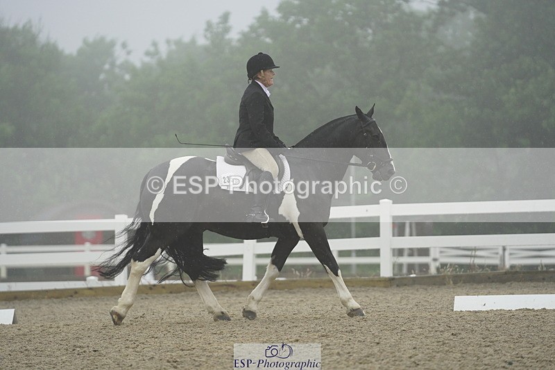 230708A-150816-03986 - Prelim 18