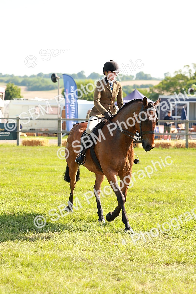 SBM_12041 - Class 66-69 - RIHS Ridden Hunters Inc Small Hunter