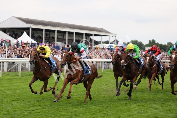 yr20082021r6-23 - Race 6 4.40pm Assured Data Protection British EBF Fillies' Stakes