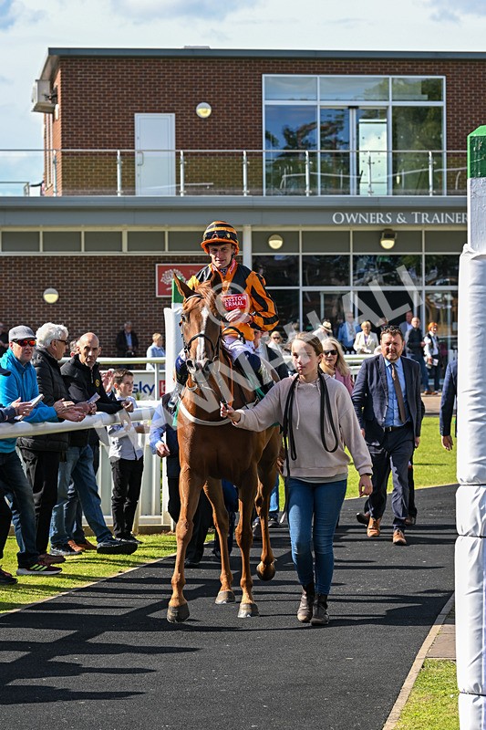 160624-Race 3-Mereside Diva-8551 - Race 3