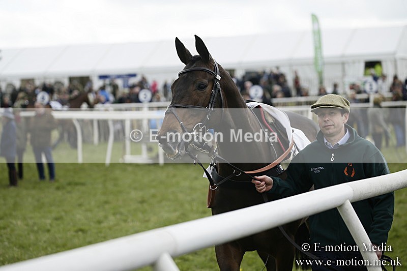 PtP 170417 122 - Old Berks Point-to-Point Lockinge 17/04/17
