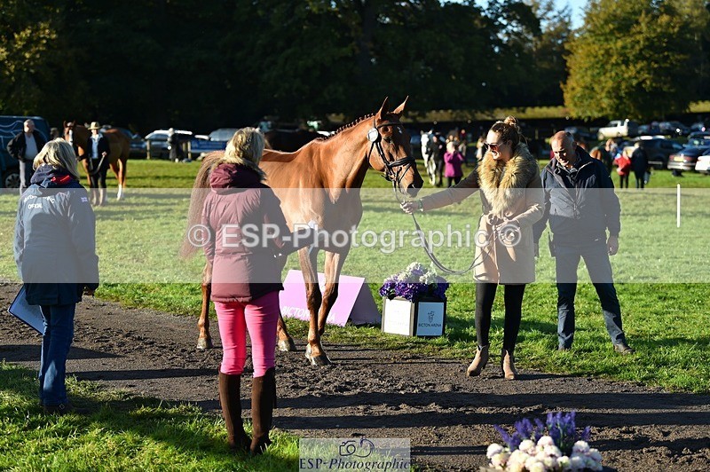 231022-092952-21829 - 682-DOOLIN.DE.REVE-Jasmine.Holmes-TrotUp+SJ