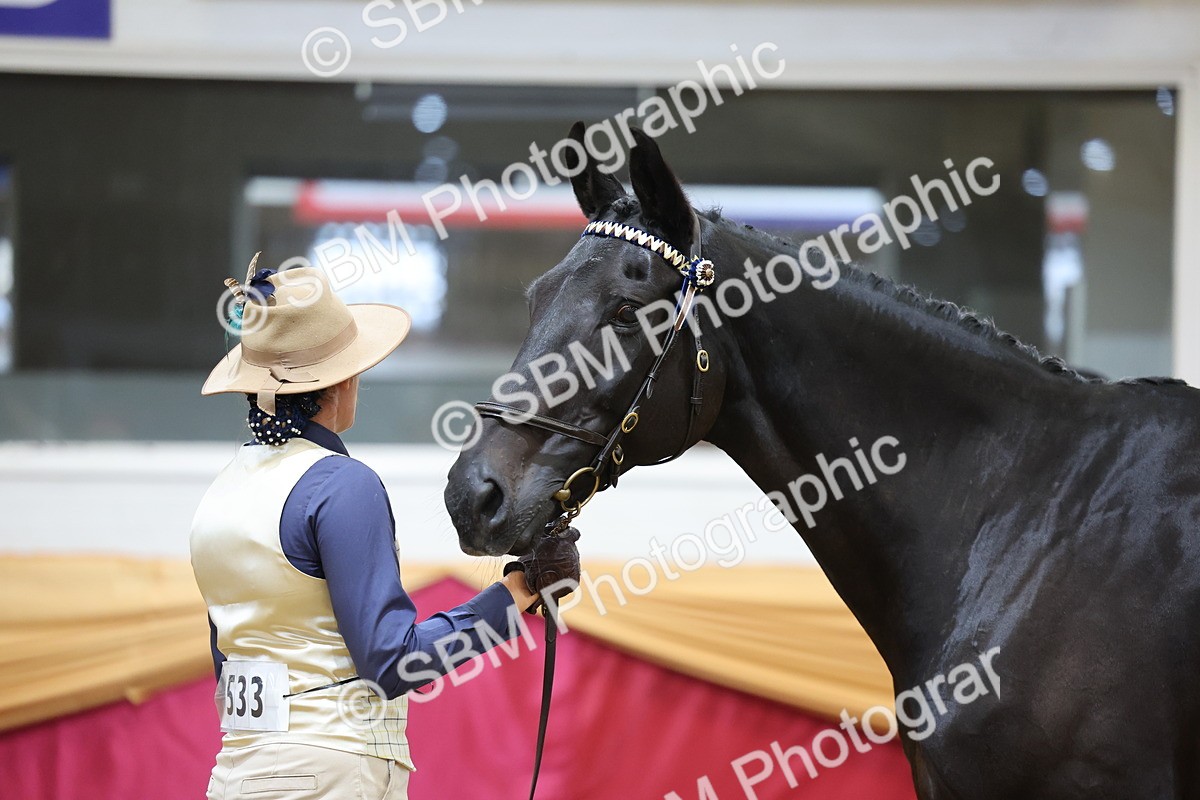SBM_20863 - Class 902 - Supreme Final IH Veteran