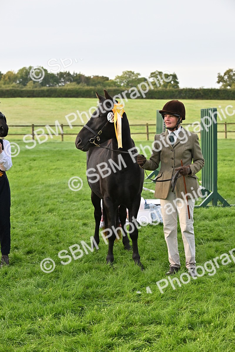 SBM_55388 - S44 - Youngstock In Hand