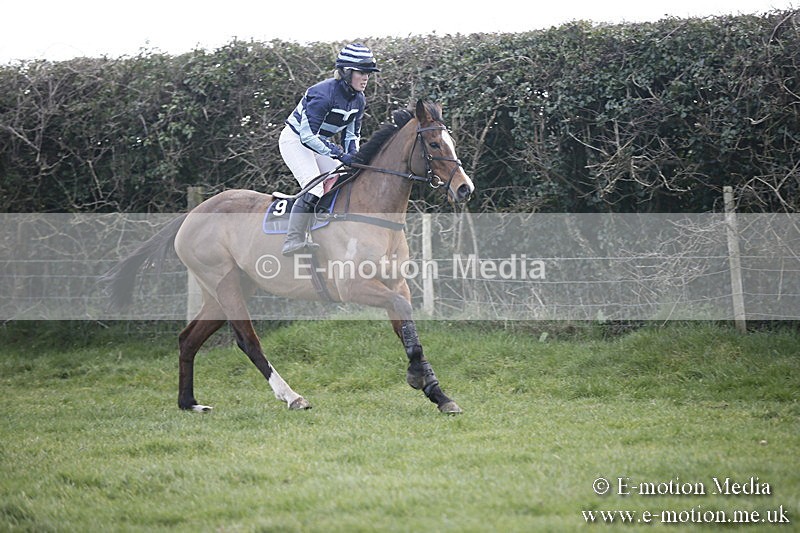 PtP 040218 366 - Point-to-Point Milborne St Andrew 04/02/18