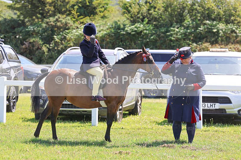 IMG_2229 - Class 37: Pure, Anglo & Part Bred Ridden Arab