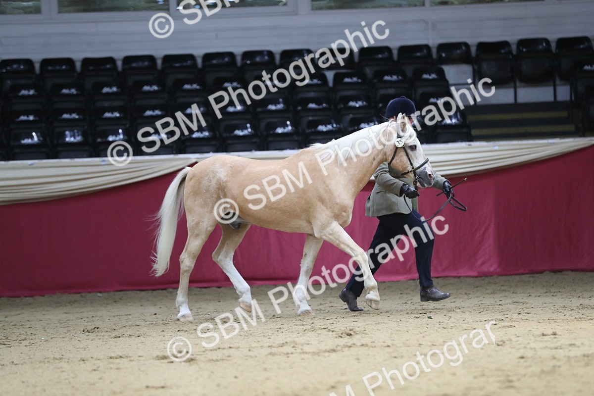 SBM_04387 - Class 7R Regional - IH Diamond