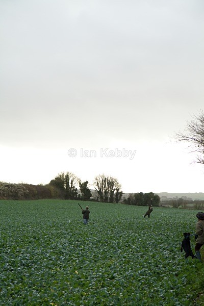 CGs-83 - Chicks Shoot 2011