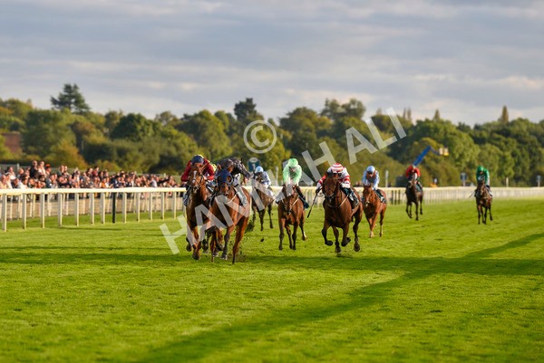 230923-Race 7-Two Brothers-7165 - Race 7 5.30pm Neil Atkinson's 60th Birthday Celebration Handicap