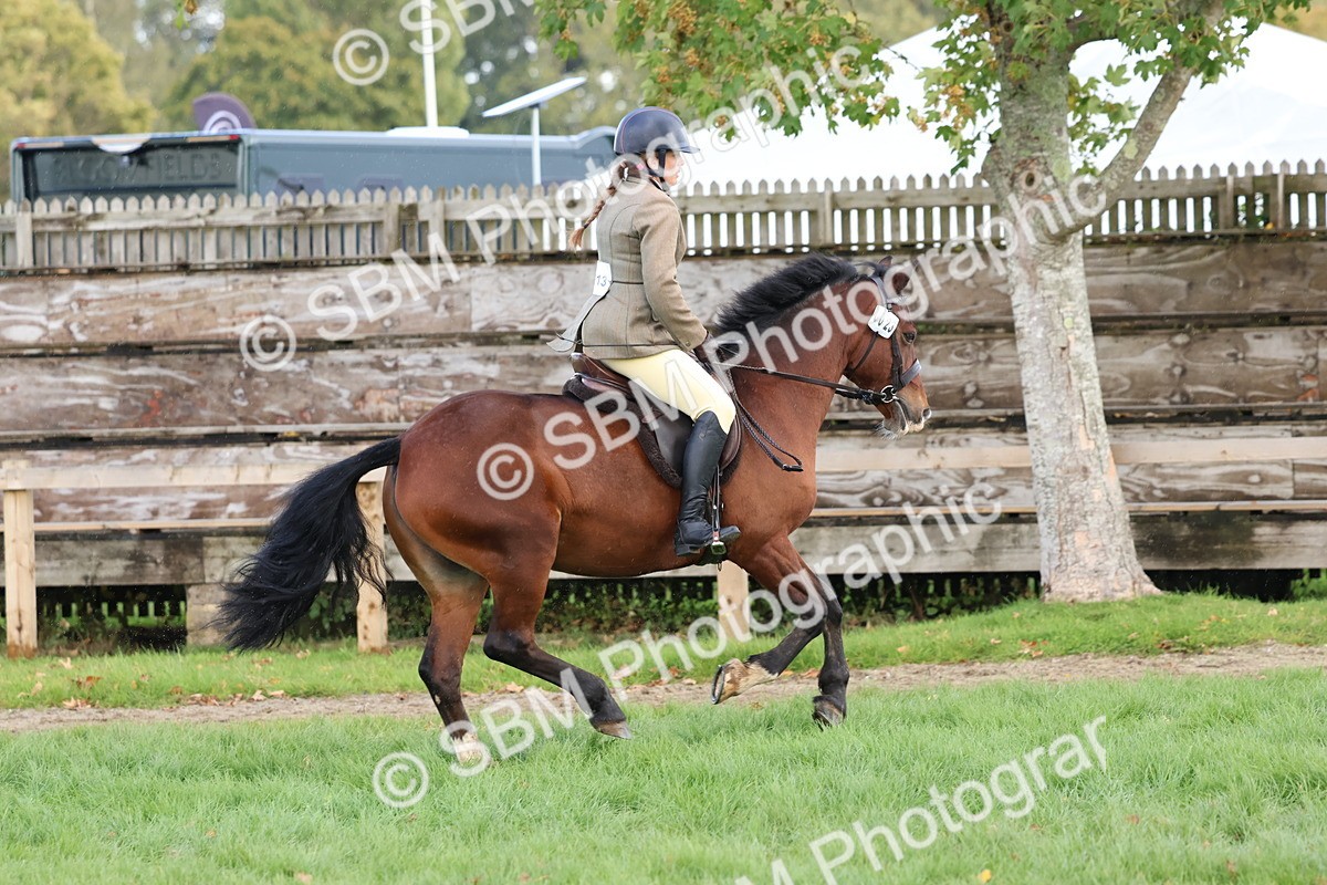 SBM_47678 - S28 - Veteran Ridden