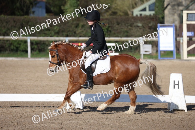 20260214-0370 - Class 4 - Novice 2